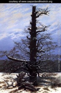 The-Oaktree-in-the-Snow-1829