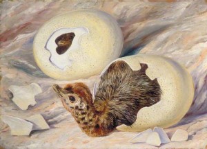 Royal Botanic Gardens, Kew; (c) Royal Botanic Gardens, Kew (book); Supplied by The Public Catalogue Foundation